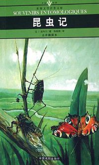 堂吉诃德(上下全译插图本)/名家名译世界文学名著文库 (2005)