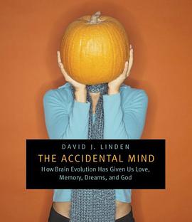 The Accidental Mind