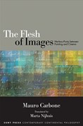 The Flesh of Images