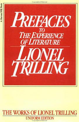 Preface to the Experience of Literature