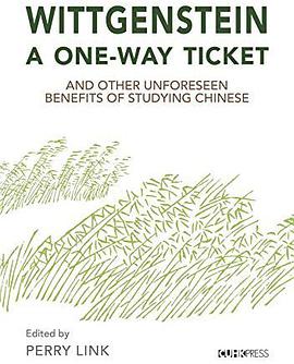 Wittgenstein, A One-Way Ticket, and Other Unforeseen Benefts of Studying Chinese