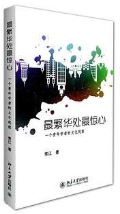 最繁华处最惊心