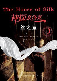 神探夏洛克：丝之屋 (2015)