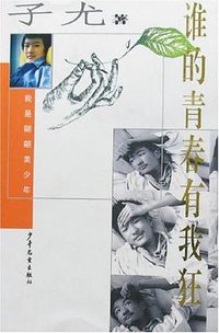 谁的青春有我狂 (2005)