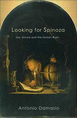 Looking for Spinoza