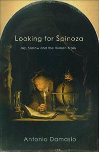 Looking for Spinoza (William Heinemann 2003)
