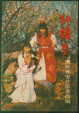 红楼梦（电视文学）