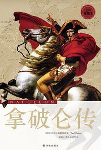 拿破仑传 (2012)