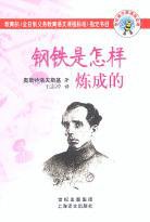 钢铁是怎样炼成的 (2003)