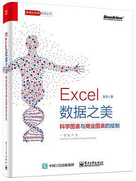 Excel 数据之美