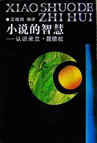 小说的智慧