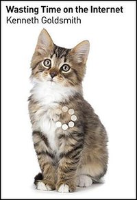 Wasting Time on the Internet (Harper Perennial 2016)