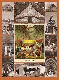 Shelter (Shelter Publications 2000)