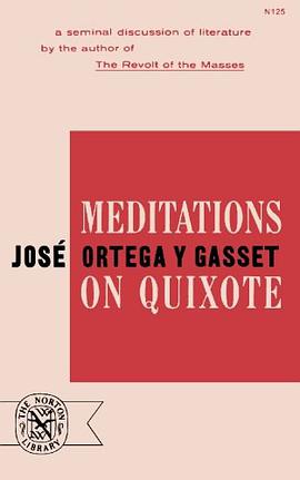 Meditations On Quixote