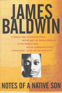 Notes of a Native Son (Beacon Press 1984)