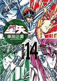 聖鬪士星矢完全版 14