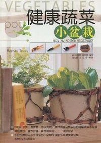 健康蔬菜小盆栽