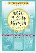 钢铁是怎样炼成的 (1995)