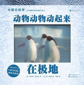 动物动物动起来：在极地