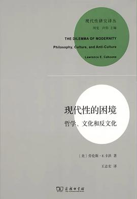 现代性的困境:哲学文化和反文化