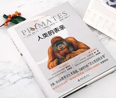 人类的表亲 (2019)