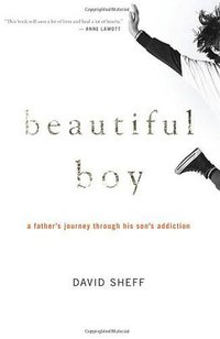 Beautiful Boy (Houghton Mifflin Co 2018)