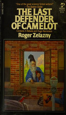 The Last Defender of Camelot