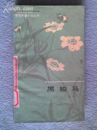 黑骏马 (百花文艺出版社 1983)