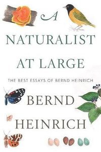 A Naturalist at Large: The Best Essays of Bernd Heinrich (Houghton Mifflin Harcourt 2018)