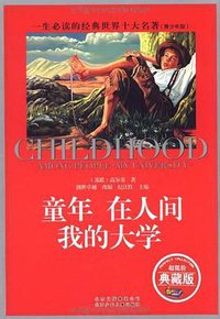 童年在人间我的大学 (2009)