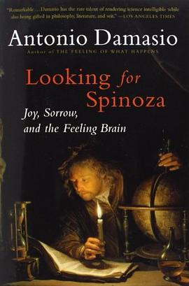 Looking for Spinoza