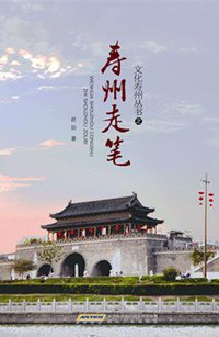 文化寿州丛书之寿州走笔