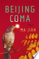 Beijing Coma