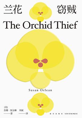 兰花窃贼