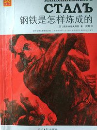 钢铁是怎样炼成的 (2011)