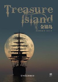 金银岛 (中国友谊出版公司 2017)