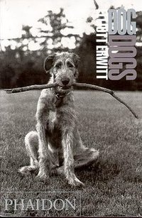 DogDogs