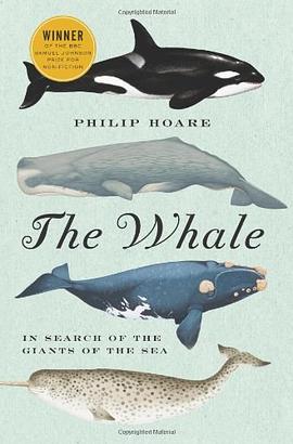 The Whale