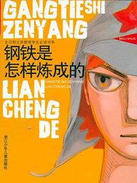 钢铁是怎样炼成的 (2005)