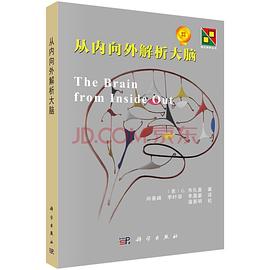 从内向外解析大脑