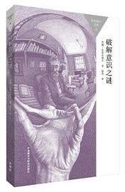 破解意识之谜 (2015)