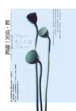 藍,或另一種藍（改版）