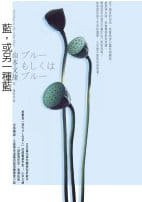 藍,或另一種藍（改版） (麥田 2006)