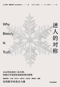 迷人的对称 (2022)