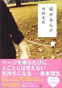 愛がなんだ (角川文庫 2006)