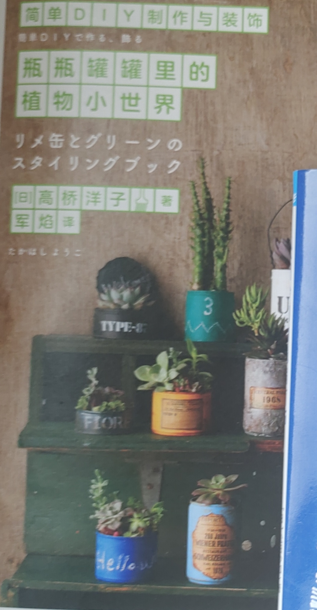 瓶瓶罐罐里的植物小世界