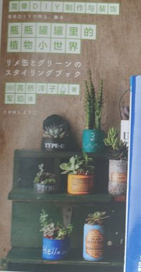 瓶瓶罐罐里的植物小世界