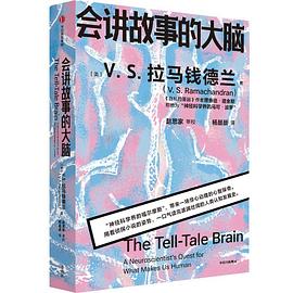 会讲故事的大脑