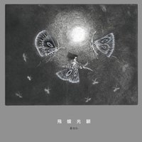 飛​蛾​光​顧 (​專​輯​）