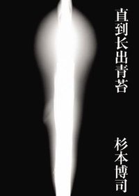 直到长出青苔 (广西师范大学出版社 2012)